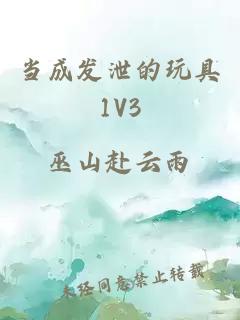 当成发泄的玩具1V3