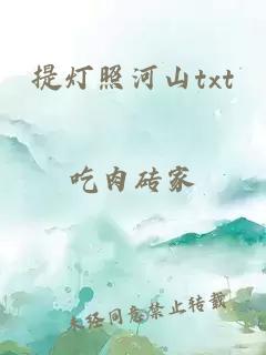 提灯照河山txt