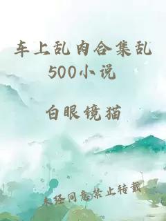 车上乱肉合集乱500小说