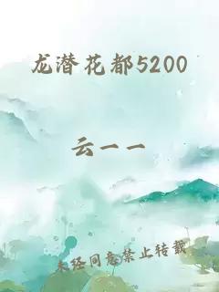 龙潜花都5200