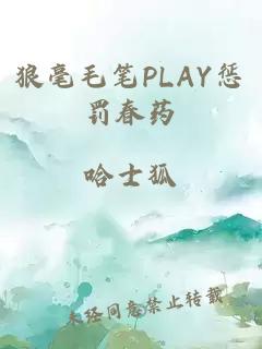 狼毫毛笔PLAY惩罚春药