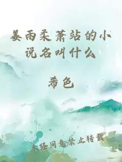 姜雨柔萧站的小说名叫什么