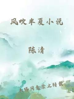 风吹半夏小说