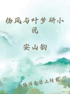 杨风与叶梦研小说