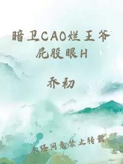 暗卫CAO烂王爷屁股眼H