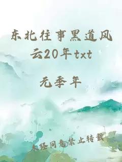 东北往事黑道风云20年txt