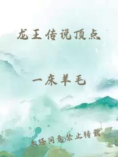 龙王传说顶点