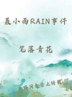 聂小雨RAIN事件