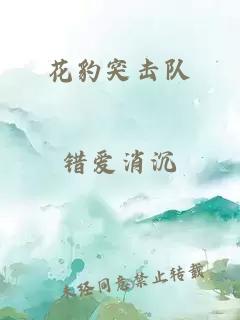 花豹突击队