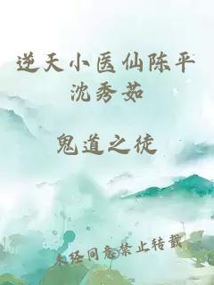 逆天小医仙陈平沈秀茹