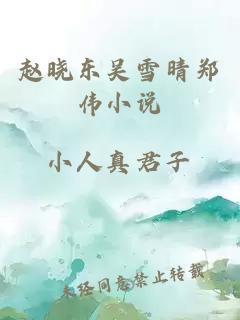 赵晓东吴雪晴郑伟小说