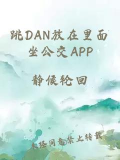 跳DAN放在里面坐公交APP