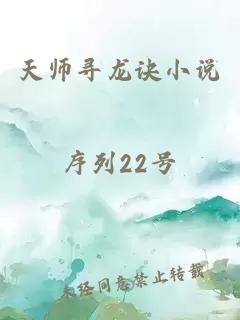 天师寻龙诀小说