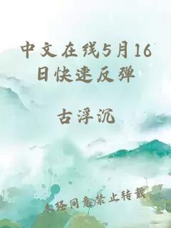 中文在线5月16日快速反弹