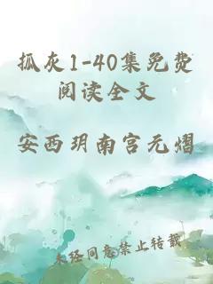 抓灰1-40集免费阅读全文