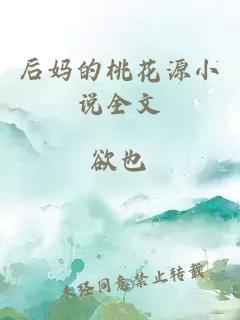 后妈的桃花源小说全文