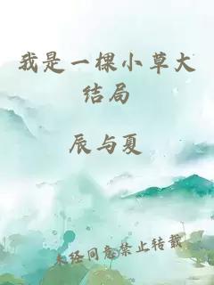 我是一棵小草大结局