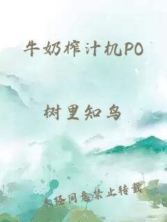 牛奶榨汁机PO