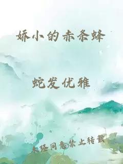 娇小的赤条蜂