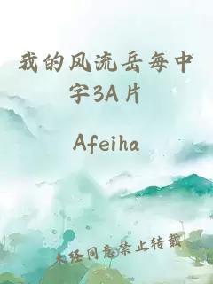 我的风流岳每中字3A片