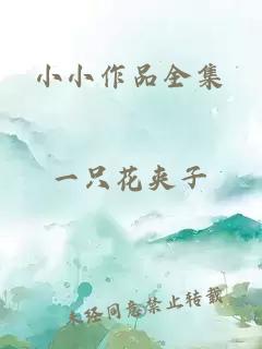 小小作品全集