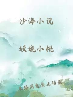 沙海小说