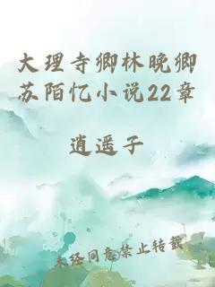 大理寺卿林晚卿苏陌忆小说22章