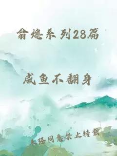 翁熄系列28篇