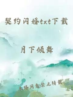 契约闪婚txt下载