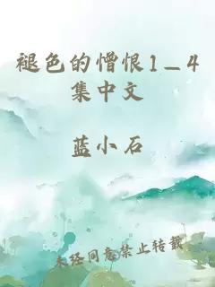 褪色的憎恨1—4集中文