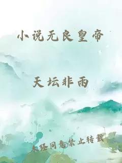 小说无良皇帝