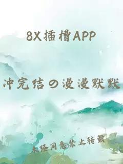 8X插槽APP