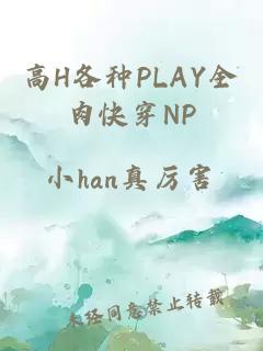 高H各种PLAY全肉快穿NP