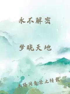 永不解密