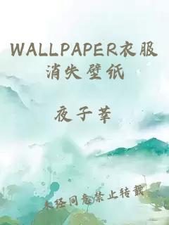 WALLPAPER衣服消失壁纸