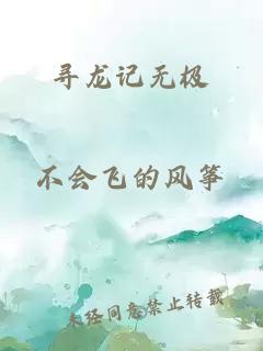 寻龙记无极