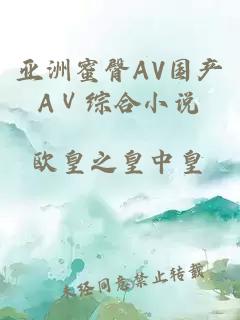 亚洲蜜臀AV国产AⅤ综合小说