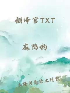 翻译官TXT