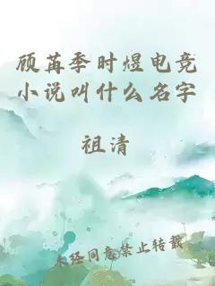 顾苒季时煜电竞小说叫什么名字