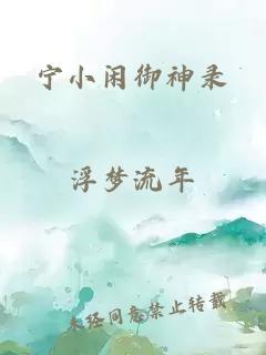 宁小闲御神录