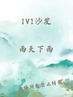 1V1沙发