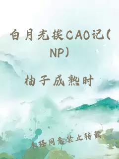 白月光挨CAO记(NP)