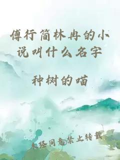 傅行简林冉的小说叫什么名字