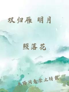 双归雁 明月珰