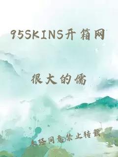 95SKINS开箱网