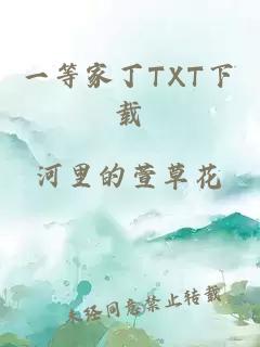 一等家丁TXT下载