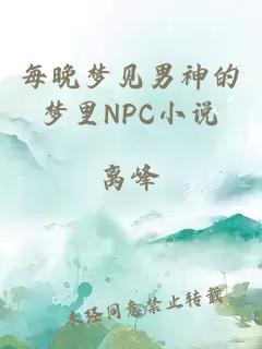 每晚梦见男神的梦里NPC小说