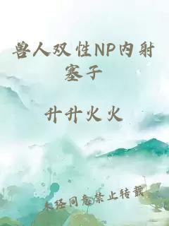 兽人双性NP内射塞子