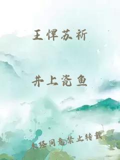 王悍苏祈