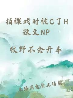 拍裸戏时被C了H辣文NP